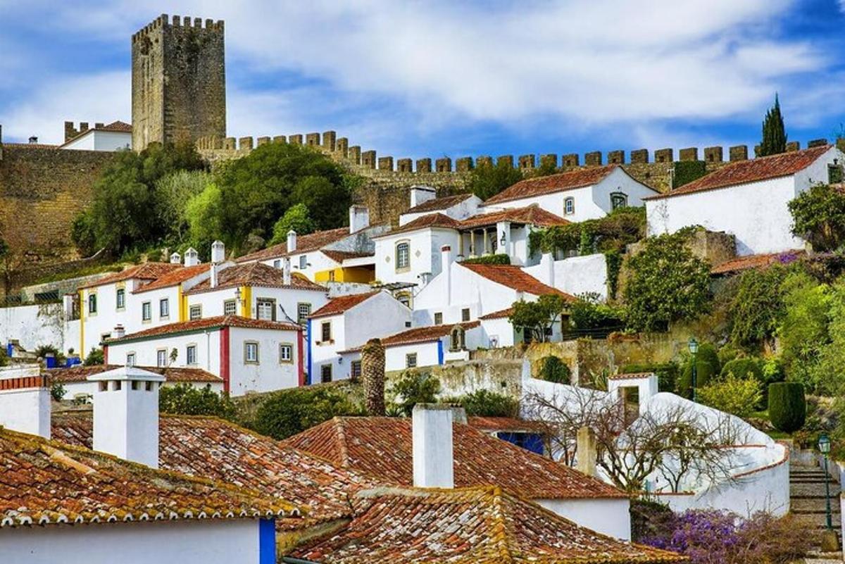 a group of white houses with a castle in the background