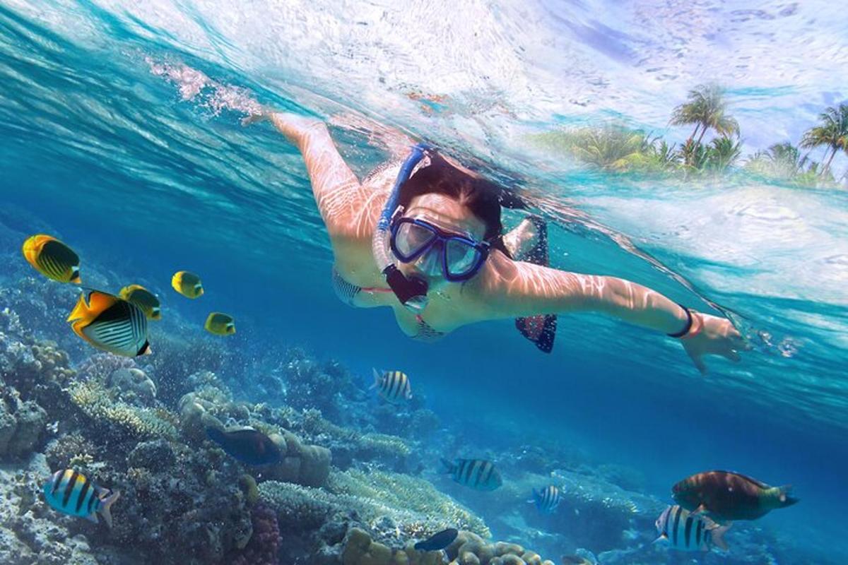 una mujer nadando en el agua con peces
