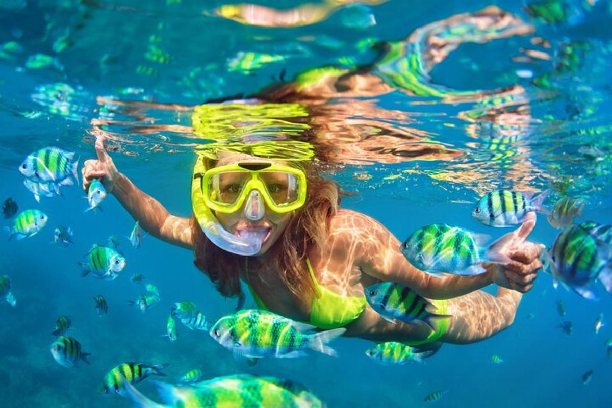 Una mujer nadando en el agua con un snorkel