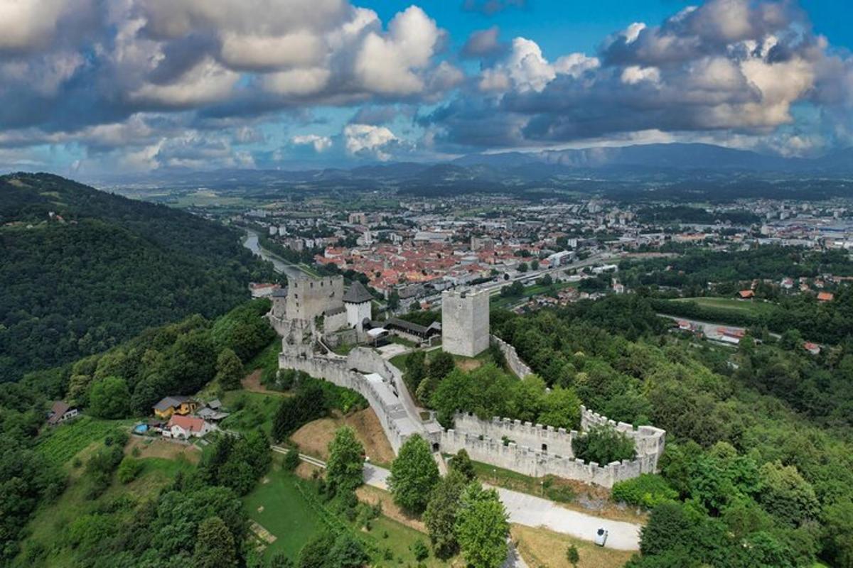 an aerial view of a castle on a hill
