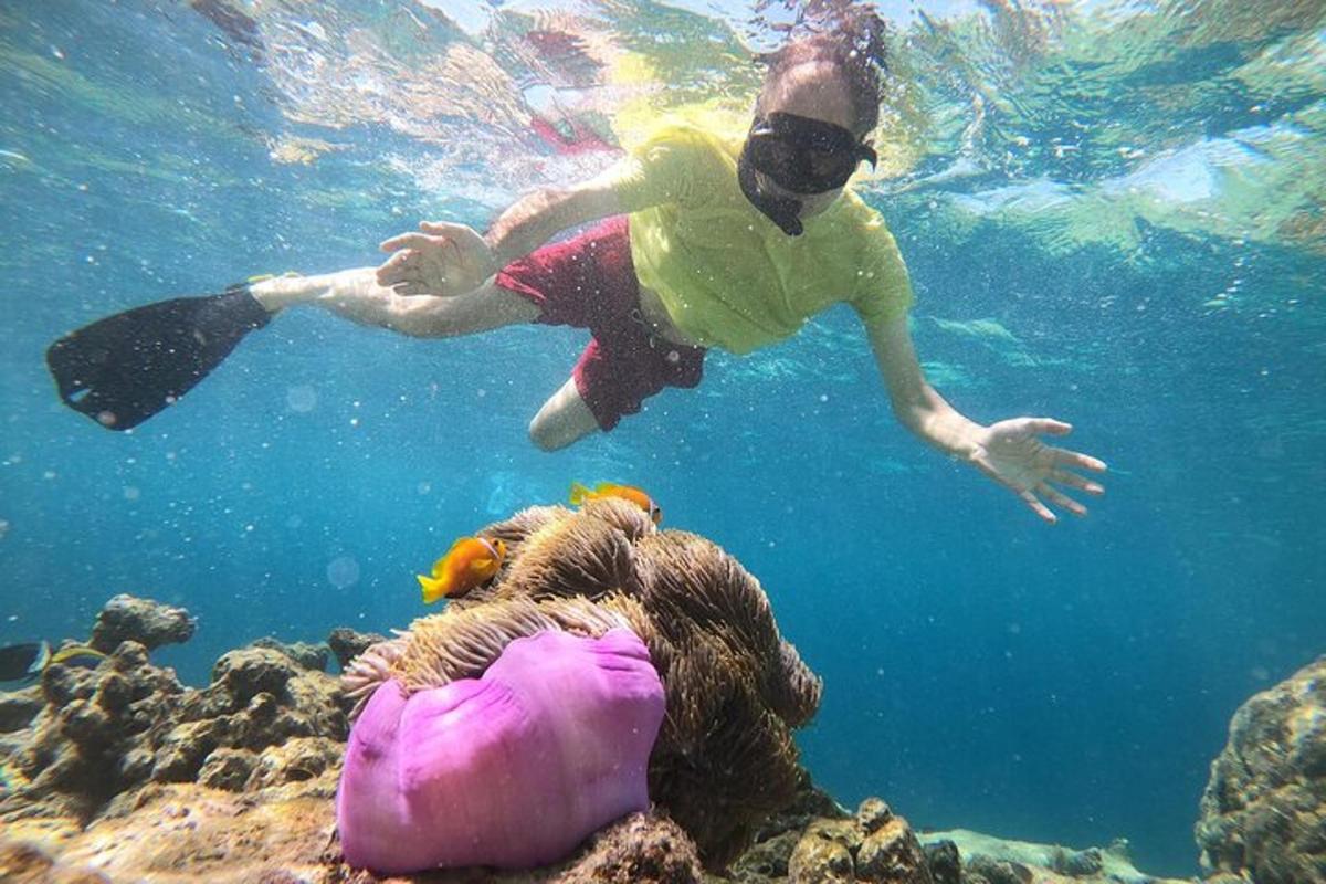 two people are swimming in the water