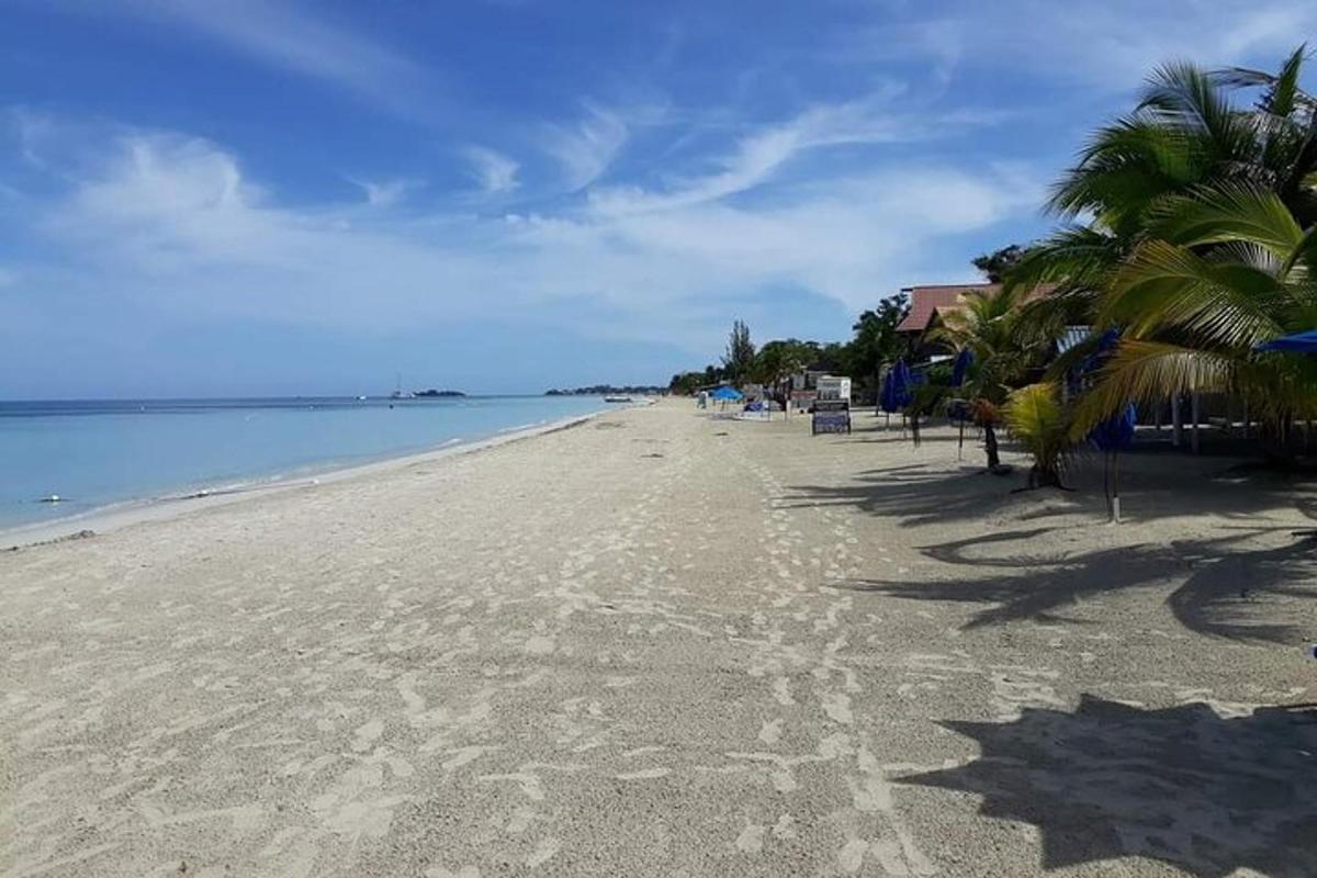uma praia de areia com palmeiras e o oceano