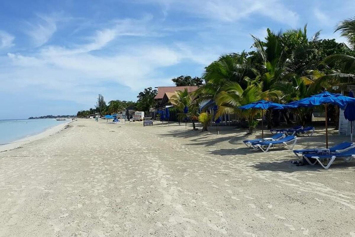 uma praia com cadeiras e guarda-sóis azuis e o oceano