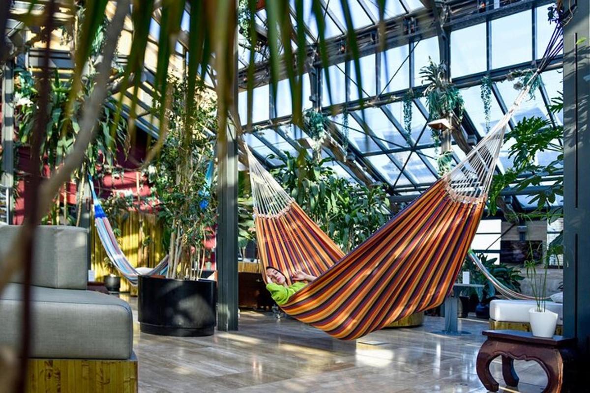 two hammocks hanging in a room with plants