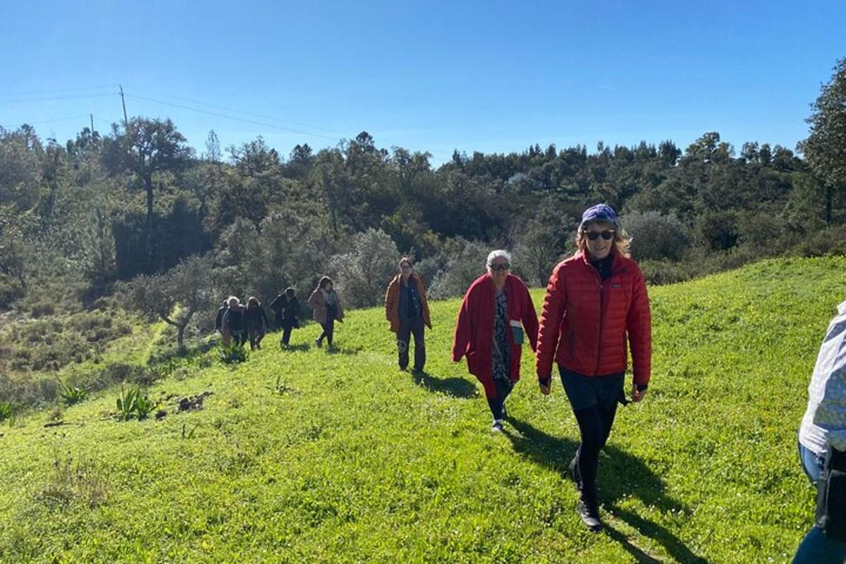 un gruppo di persone che scende da una collina con i cavalli