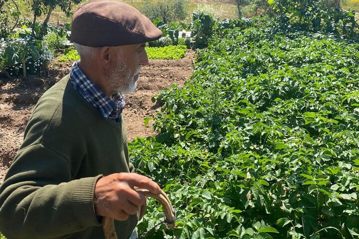 un uomo anziano che tiene in mano un bastone in un giardino