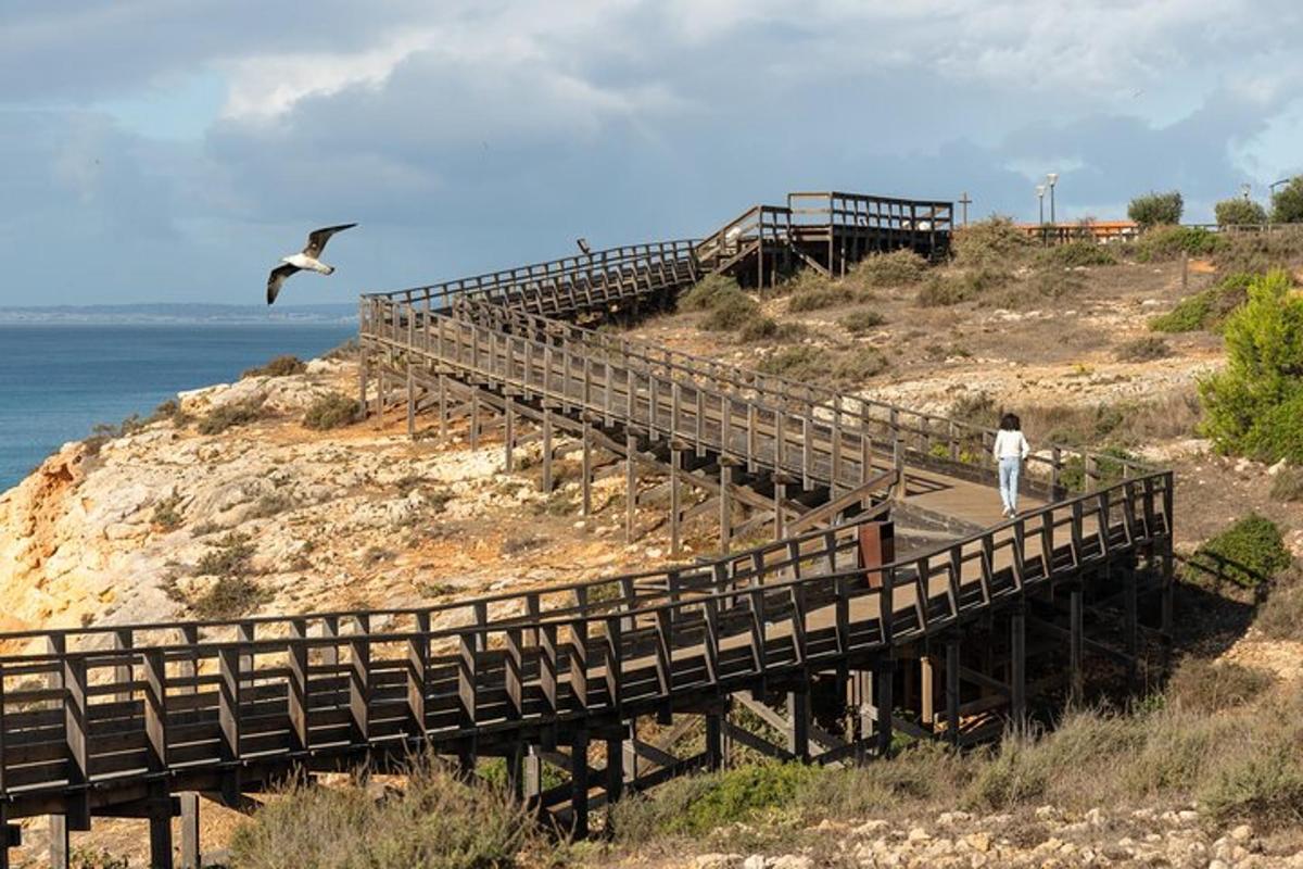 Fotografia da atração 5