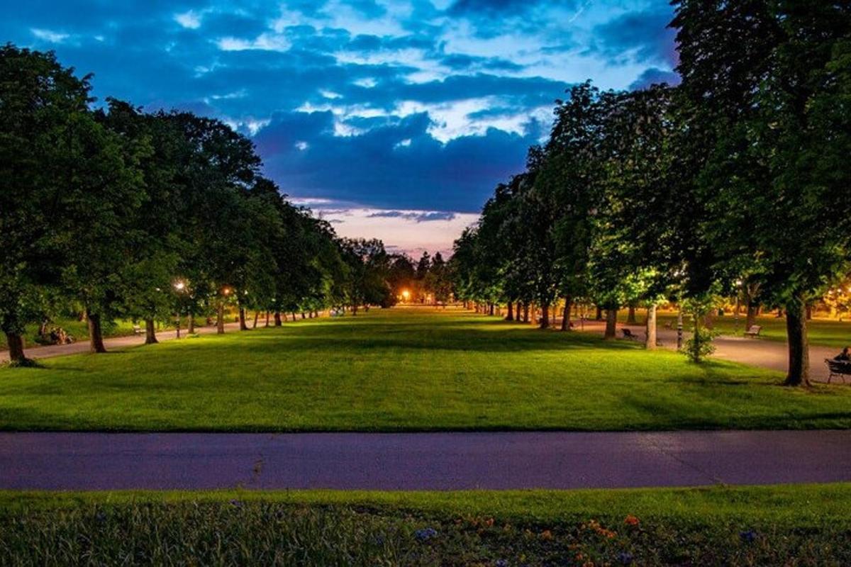 un parque con árboles y un campo de césped