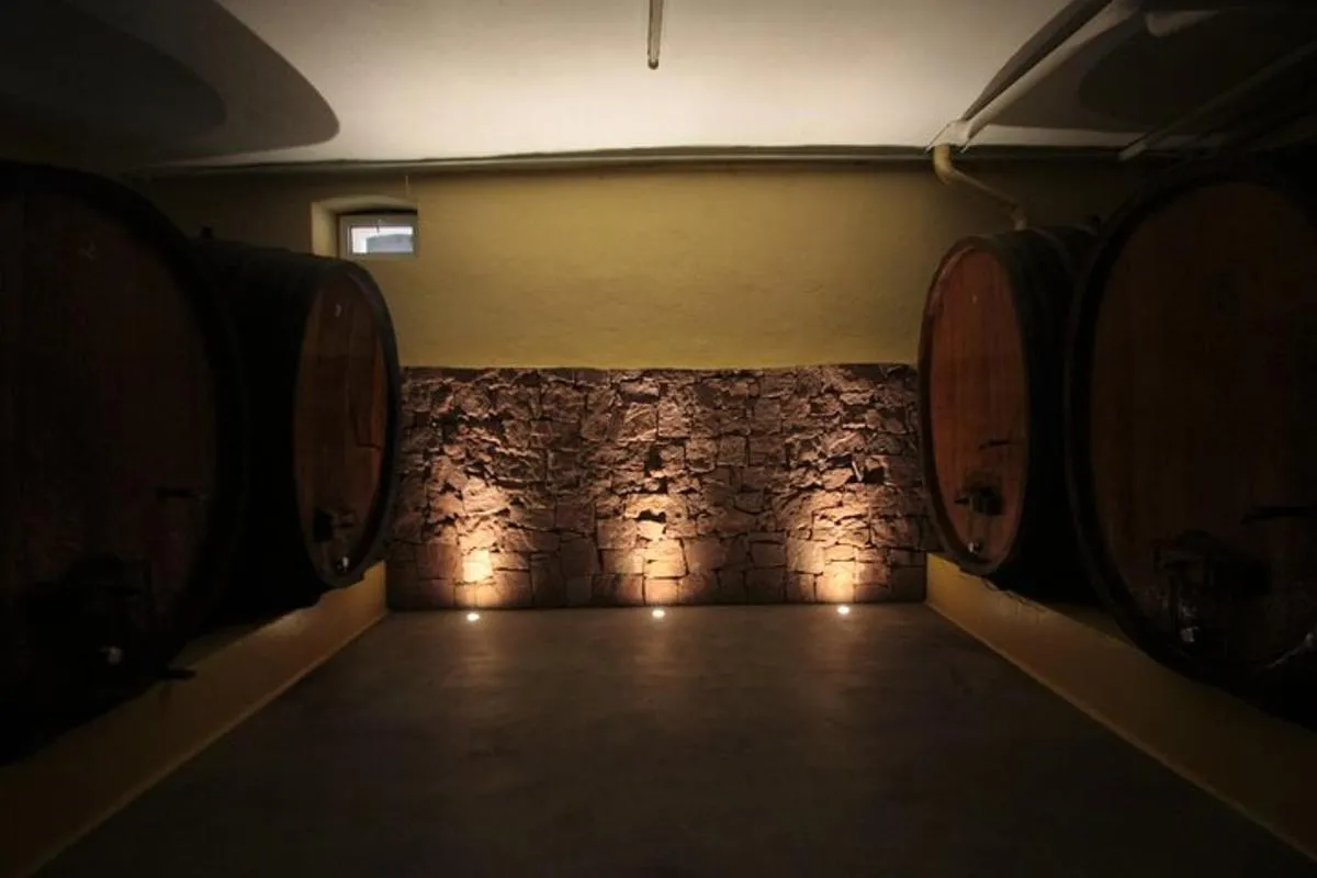 Visite traditionnelle et dégustation – photo 1