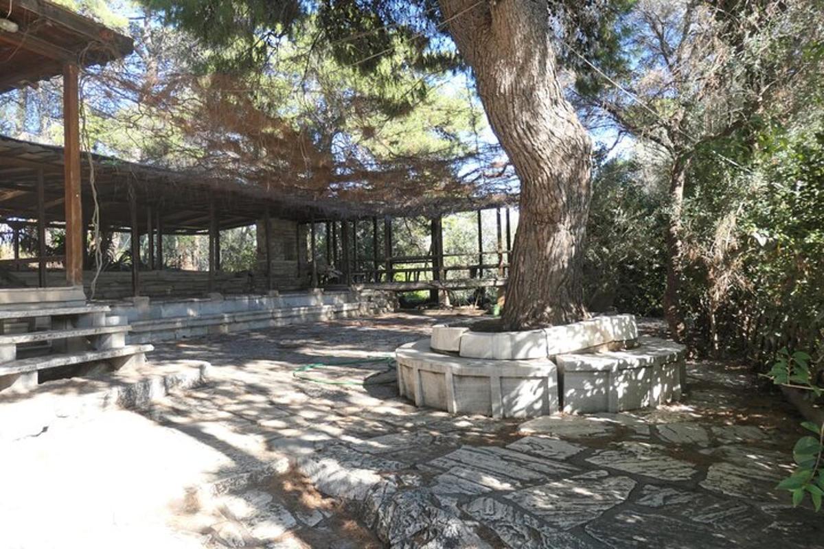 ένα κιόσκι με ένα δέντρο και παγκάκια από κάτω