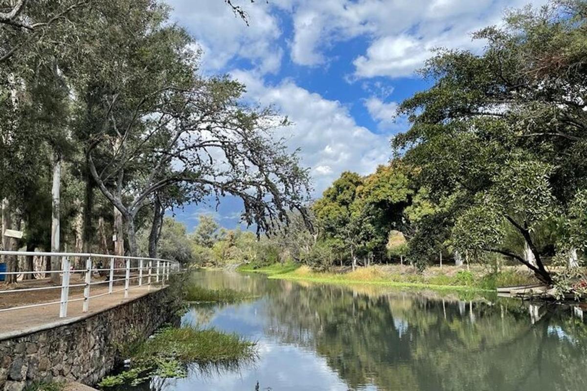 un fiume con un ponte, alberi e acqua
