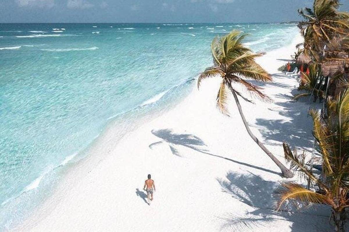 un uomo che cammina su una spiaggia con una palma