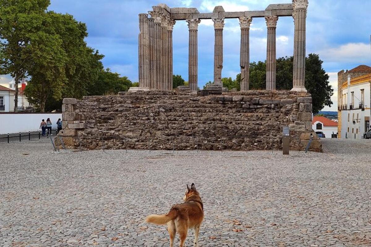 a dog standing in front of a temple