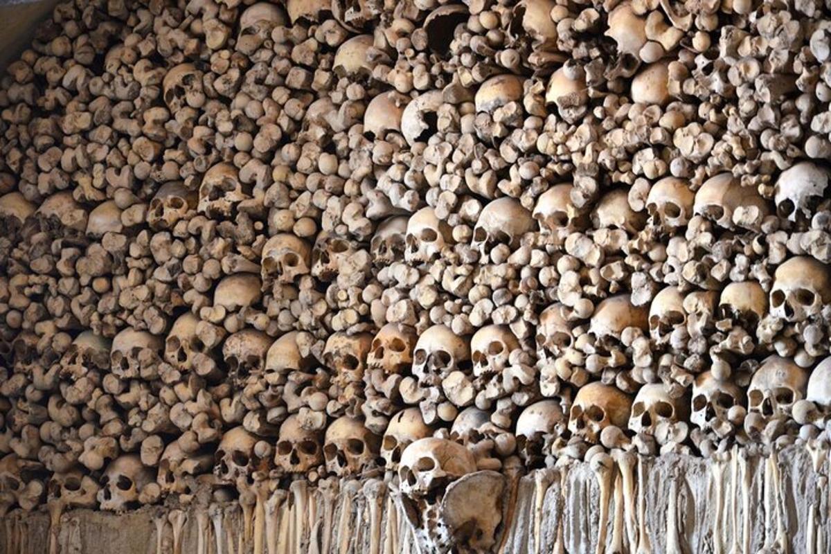 una pared llena de muchas calaveras