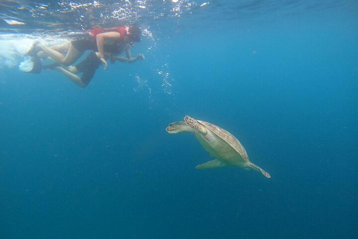 Lankytinos vietos ar pramogos nuotrauka numeris 6