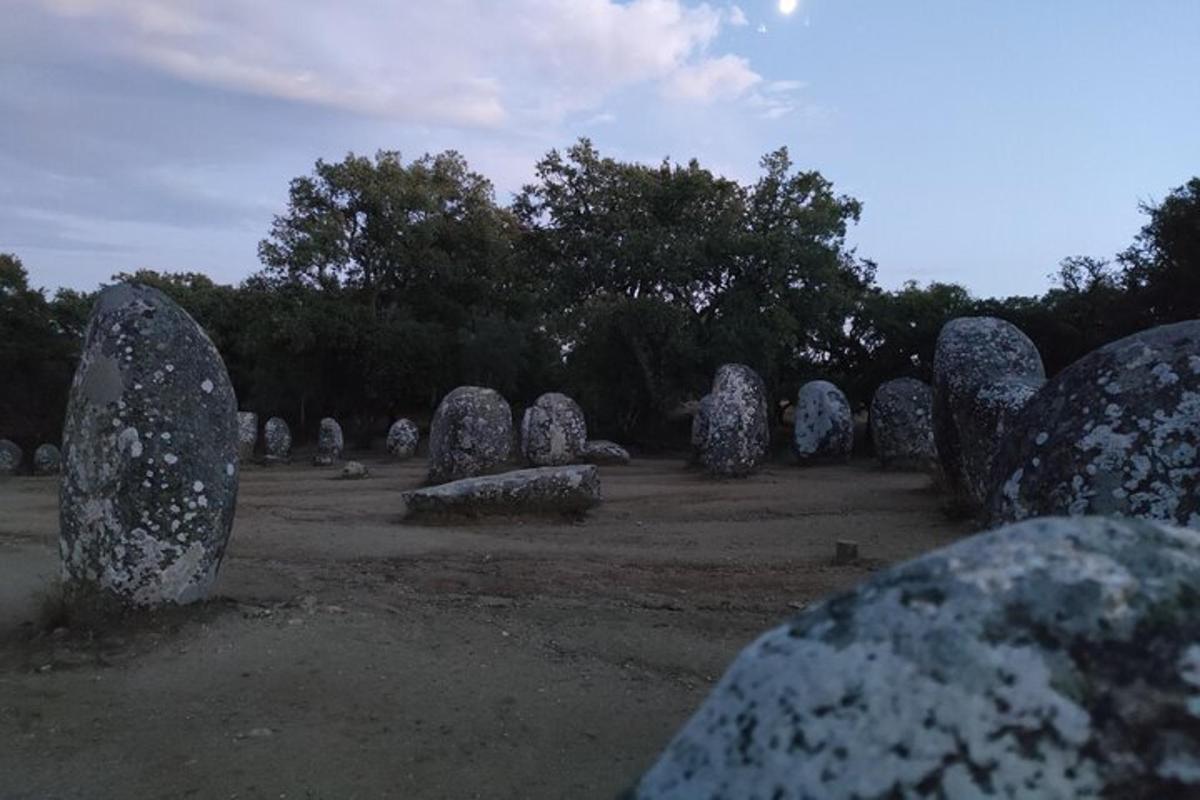 Un montón de estatuas de piedra en un campo