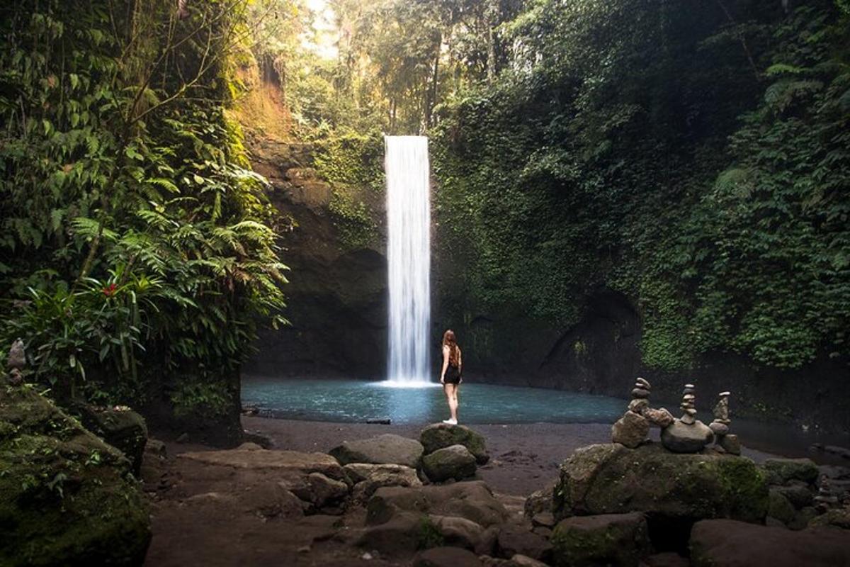 seorang wanita berdiri di hadapan air terjun