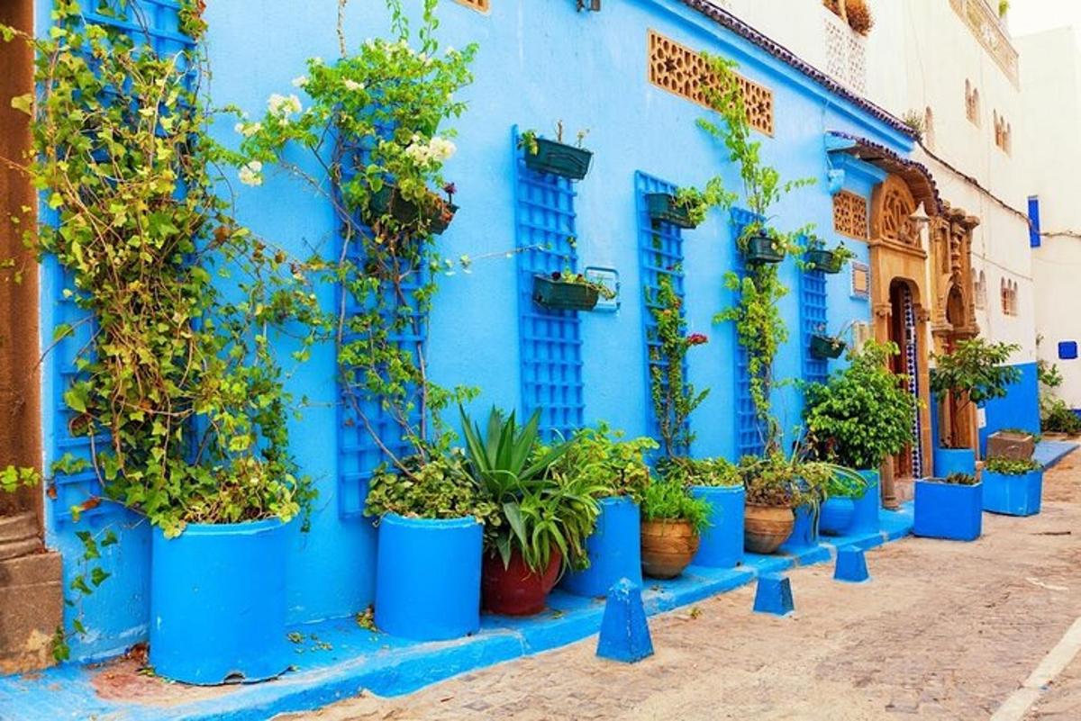 un edificio blu con un mucchio di piante in vaso
