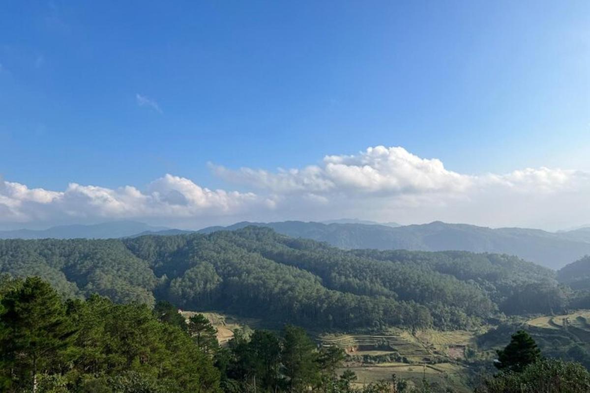 Fotografia da atração 7