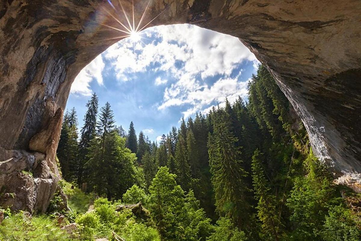 a view from underneath a rock arch in a forest