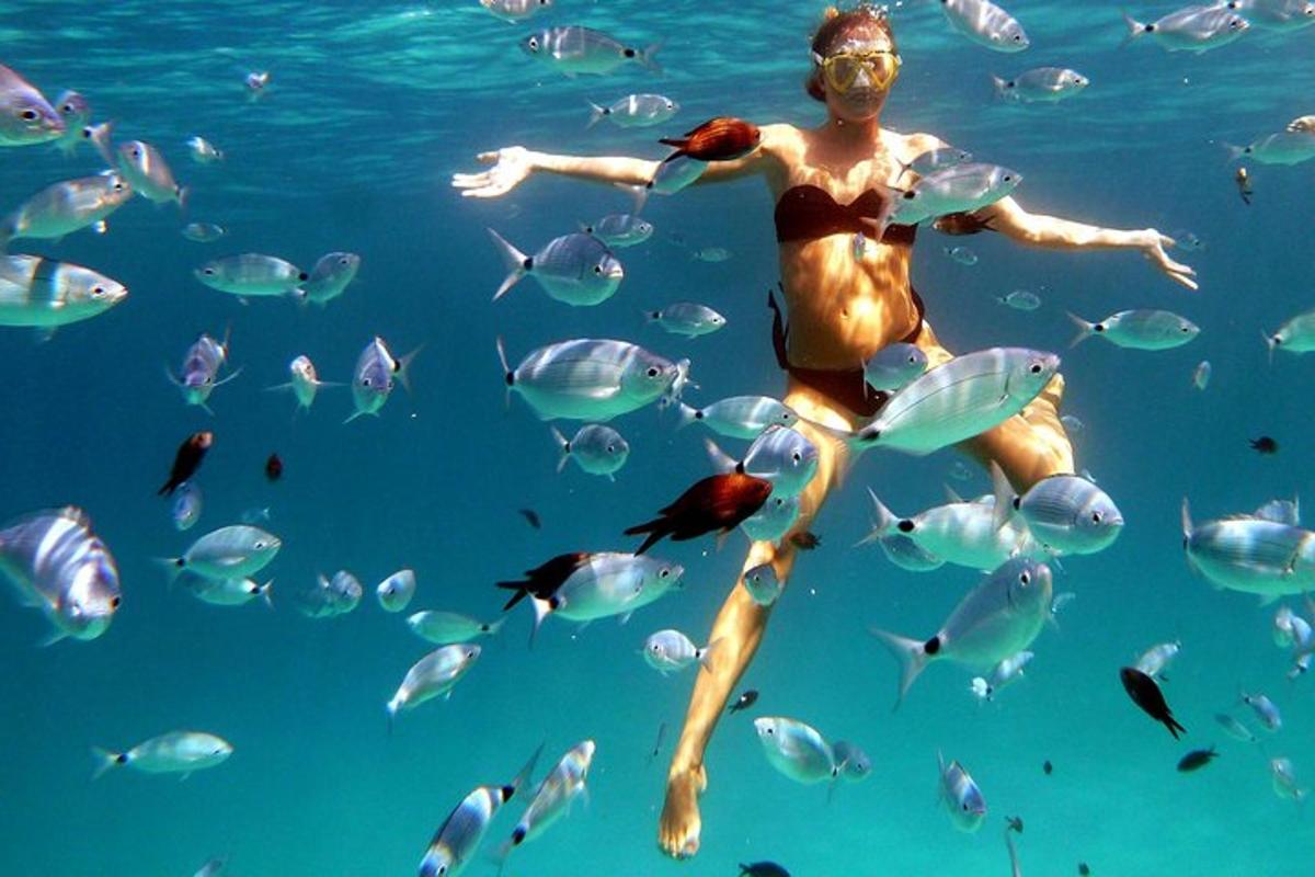 a man in the water with a school of fish