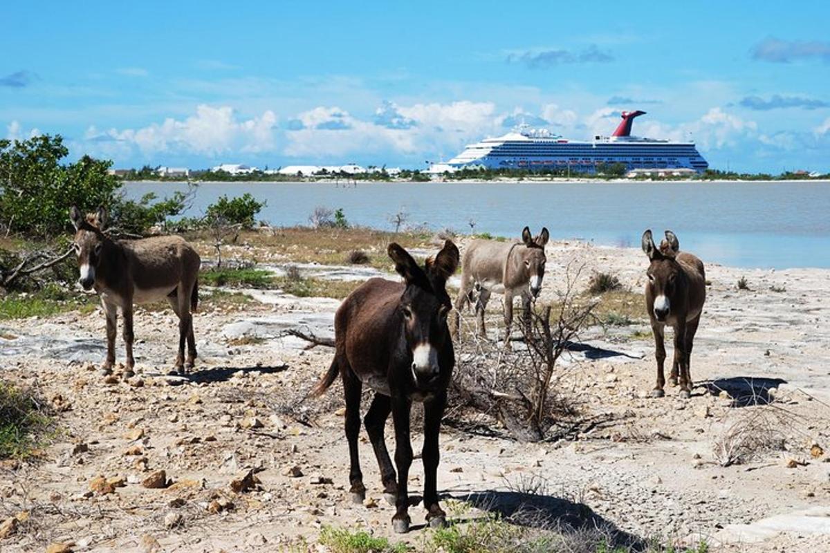 Turistik nokta fotoğrafı 1