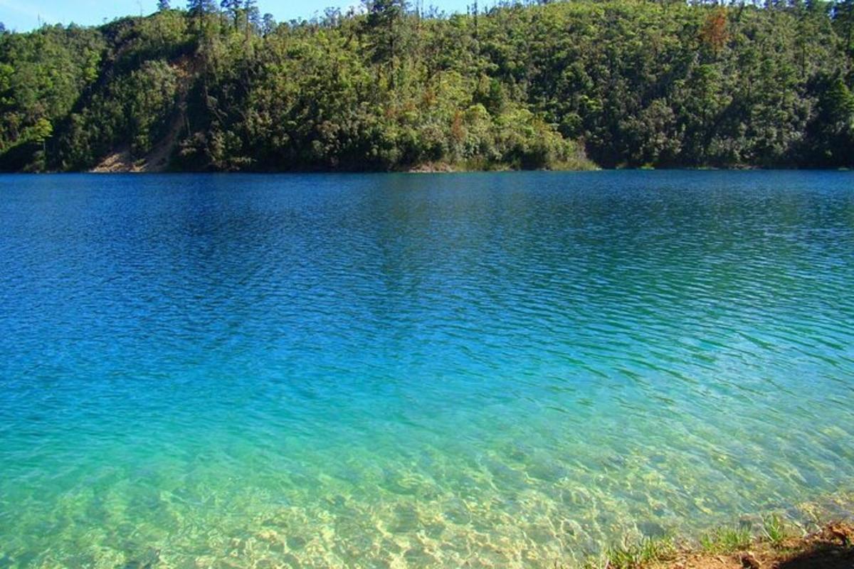 Lankytinos vietos ar pramogos nuotrauka numeris 4