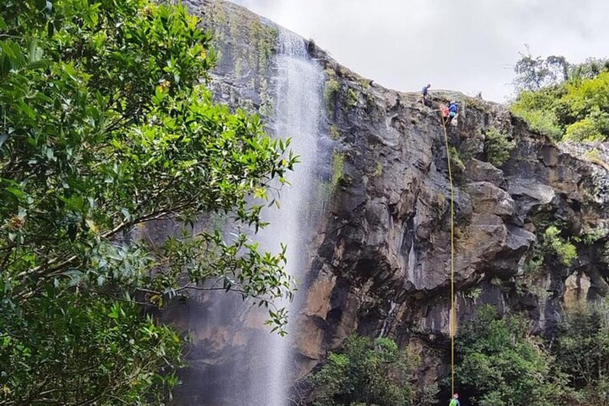 Fotografia da atração 4