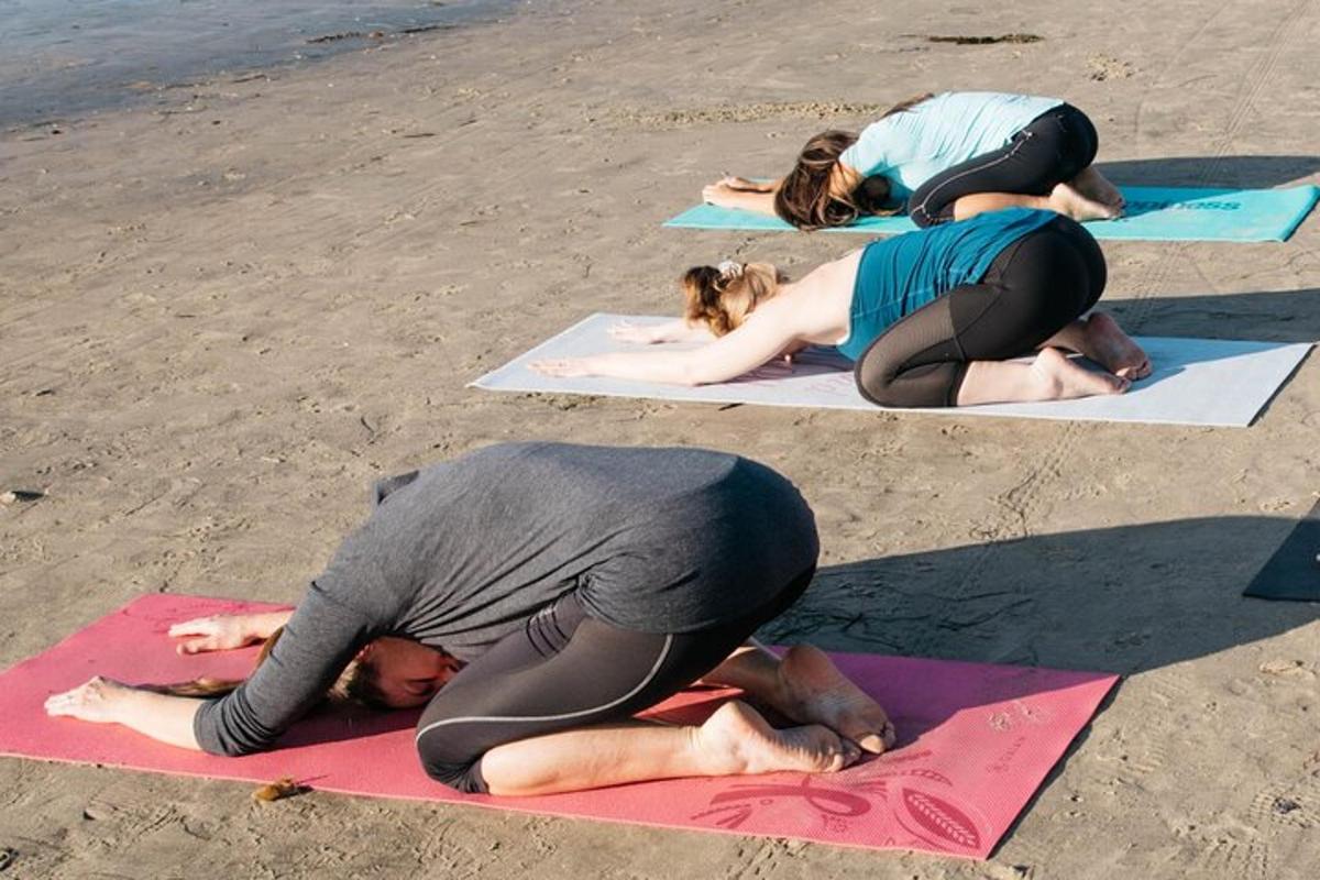 a group of people doing yoga on the beach