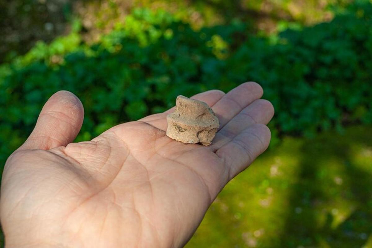 Lankytinos vietos ar pramogos nuotrauka numeris 2