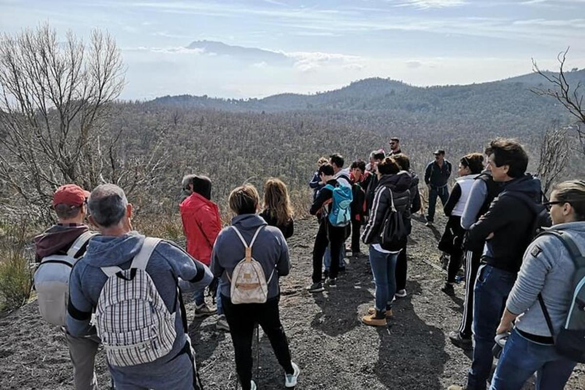 en grupp människor som går på en bergsstig