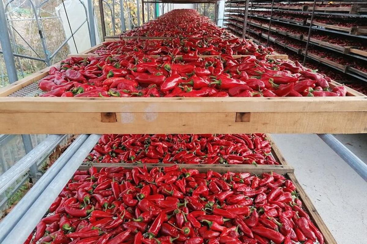 a bunch of red peppers in trays in a store