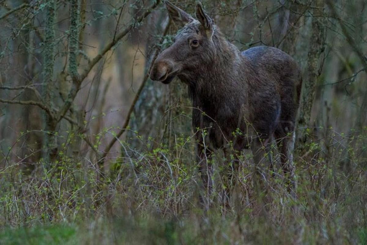 Bild 7 av sevärdheten