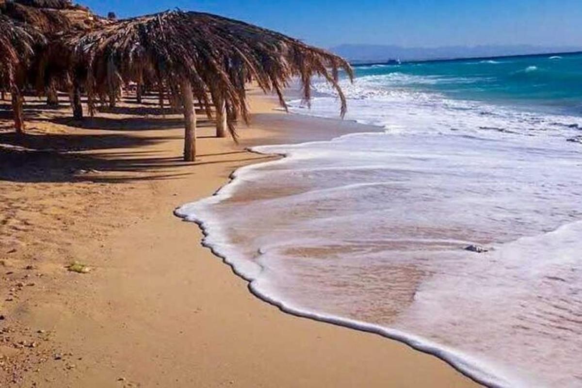 una platja amb un para-sol de palla i l'oceà