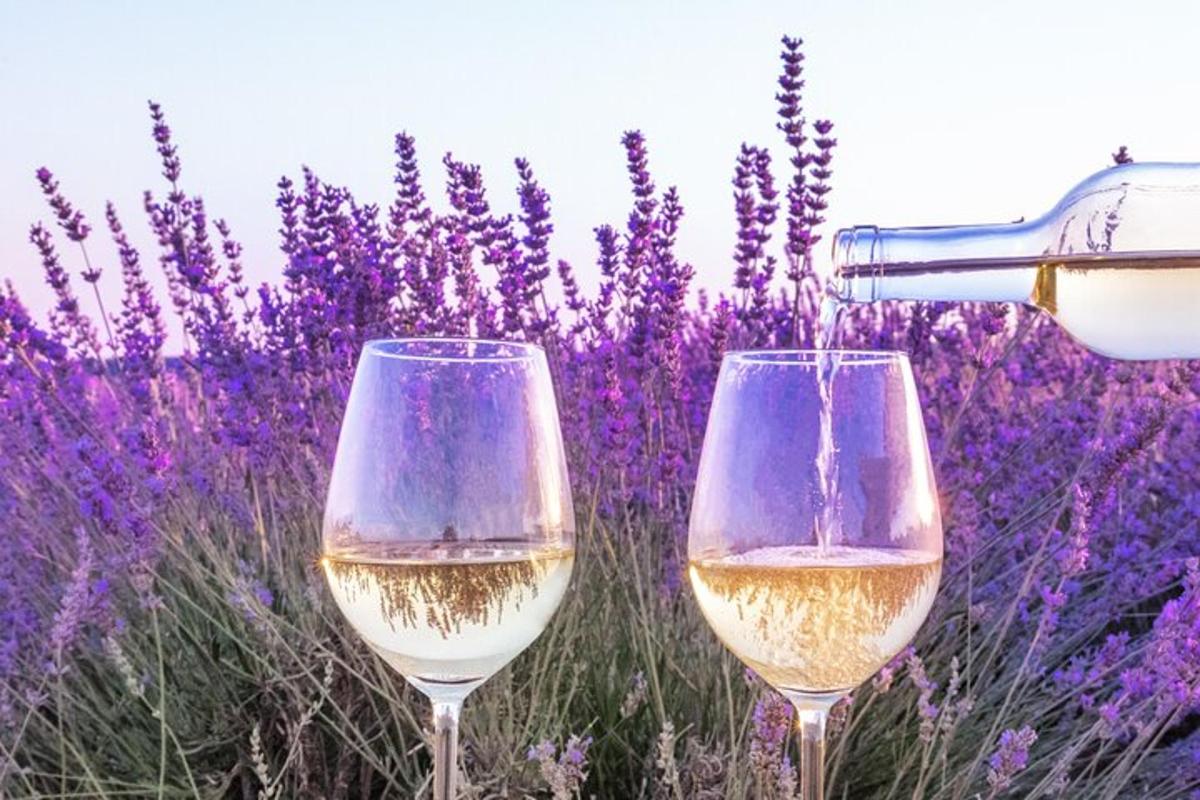 deux verres de vin blanc devant un champ de lavande