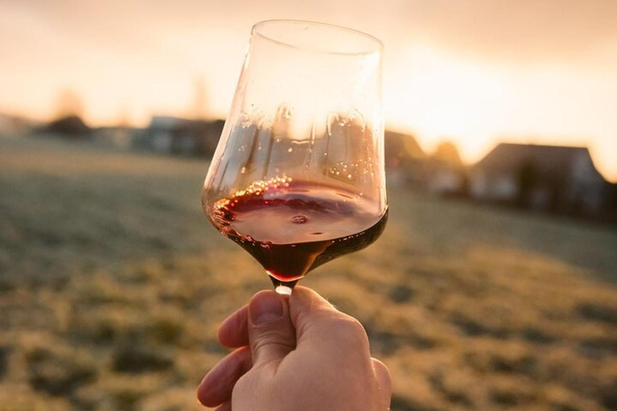 una persona che tiene in mano un bicchiere di vino