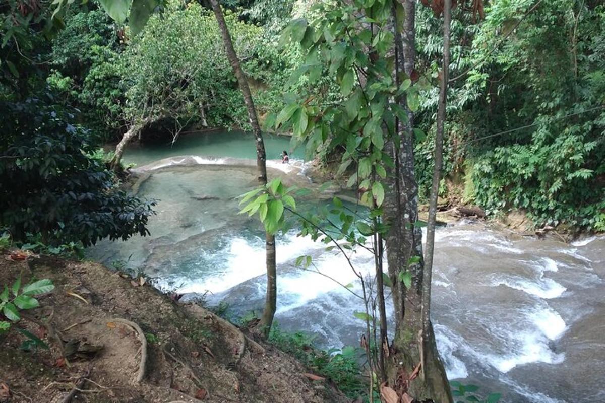 un río en medio de un bosque