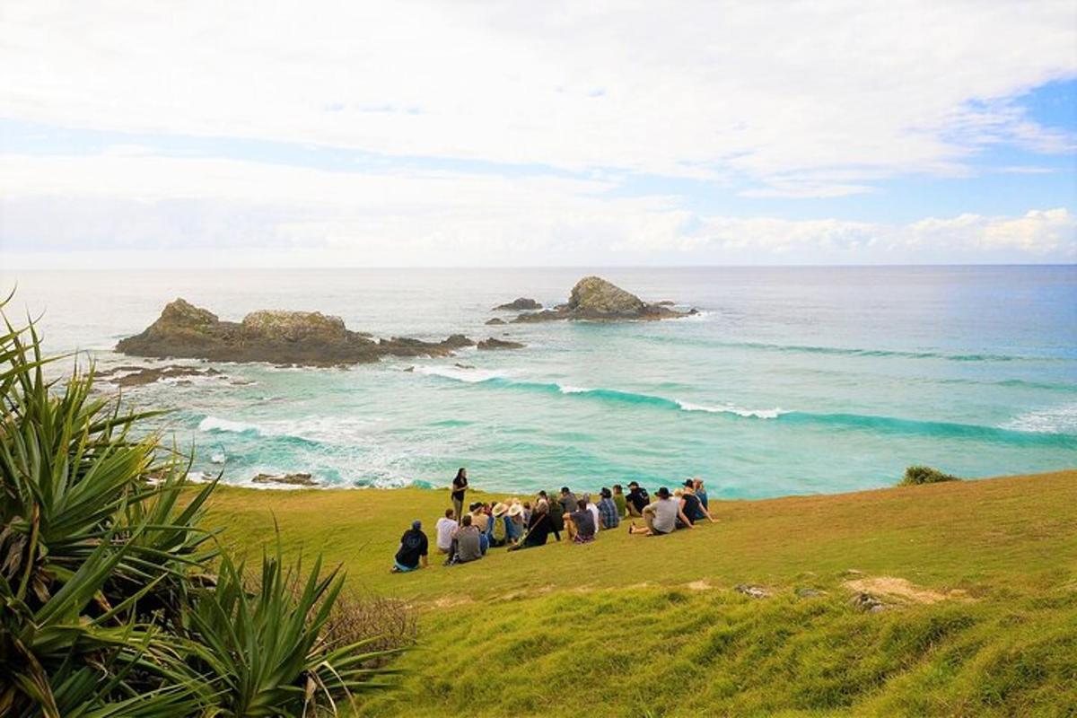 a group of people sitting on a hill looking at the ocean