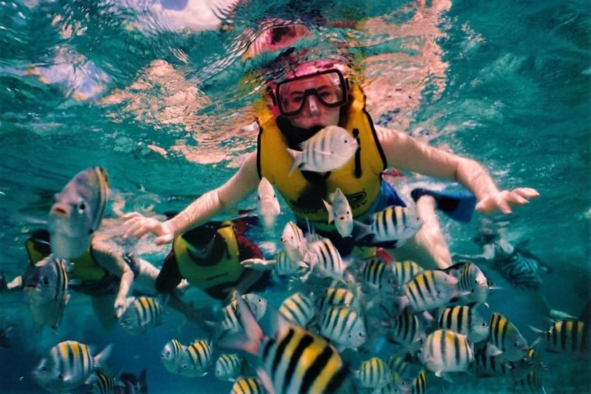 una persona a l'aigua amb un grup de peixos