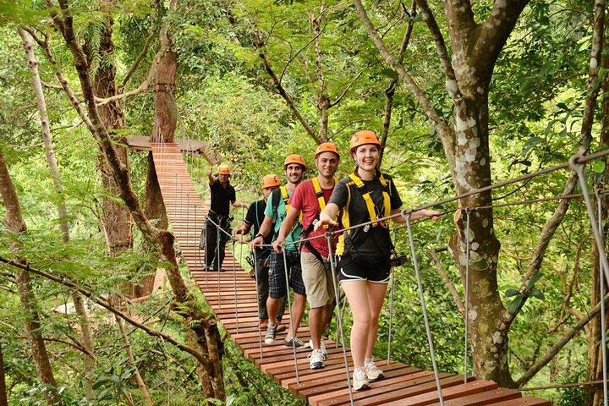 um grupo de pessoas caminhando sobre uma ponte suspensa na floresta