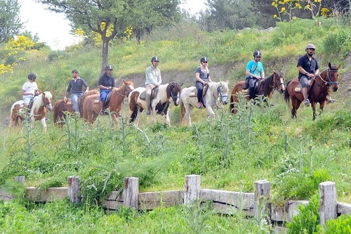 Φωτογραφία αξιοθέατου 6