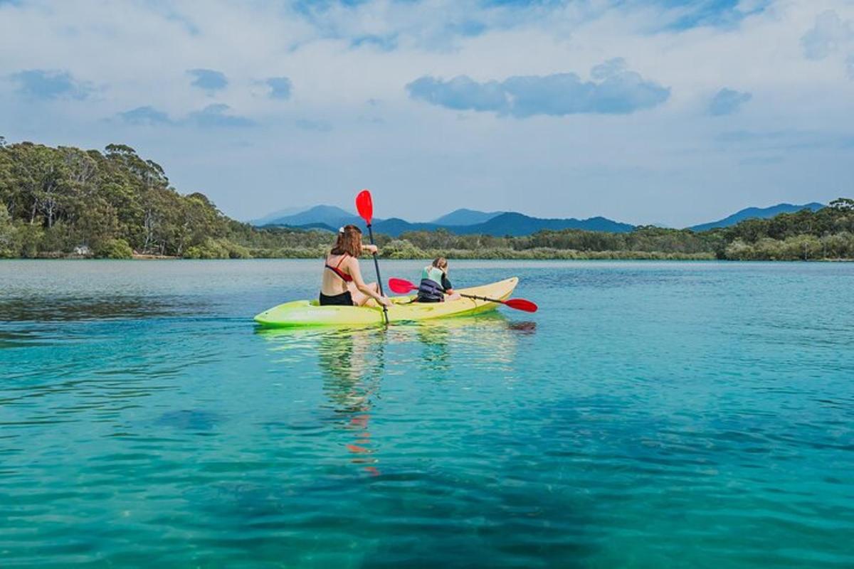 Lankytinos vietos ar pramogos nuotrauka numeris 5