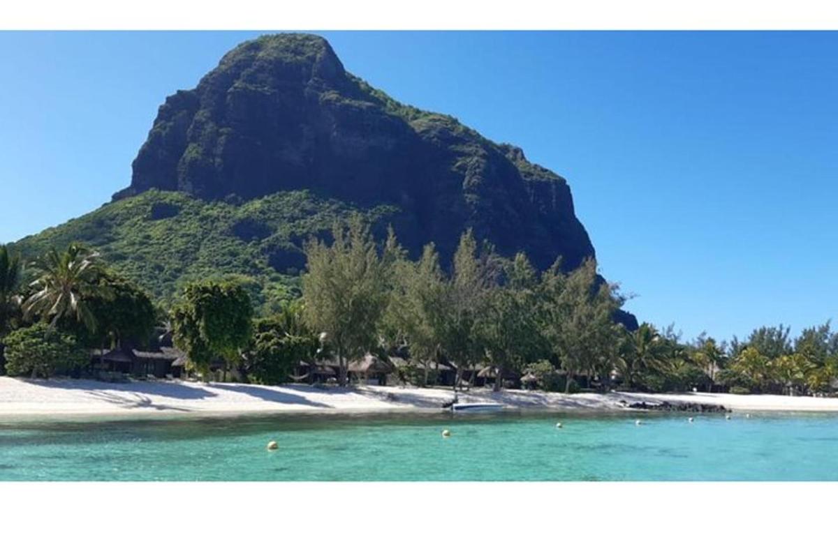 uma vista de uma praia com uma montanha ao fundo
