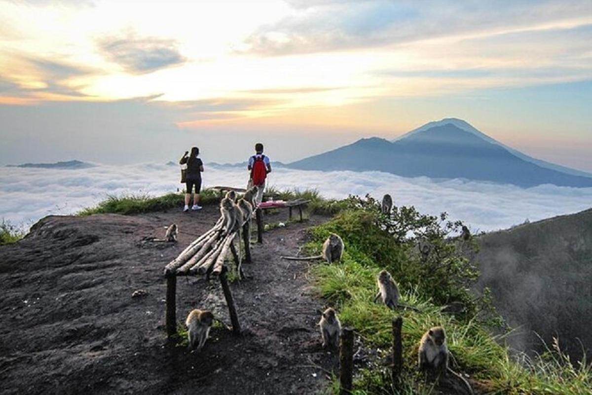 um grupo de macacos em pé no topo de uma montanha
