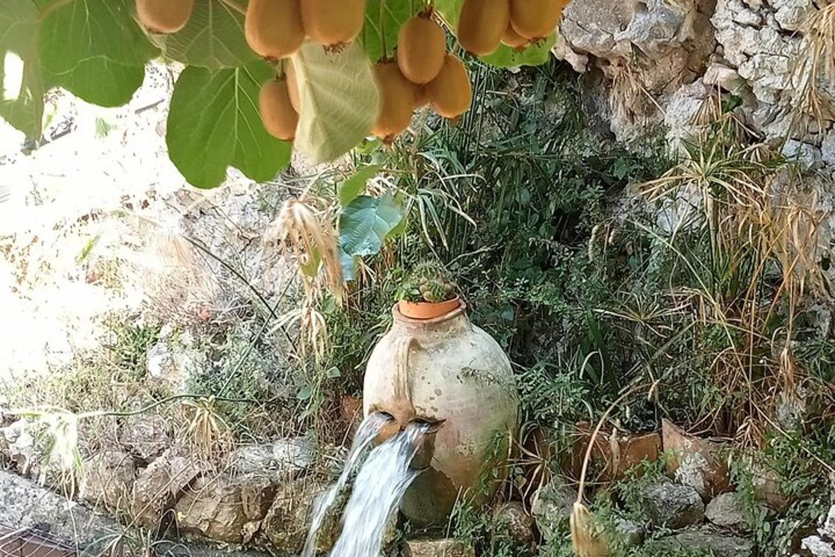 pili bomba yang duduk di rumput di sebelah pokok