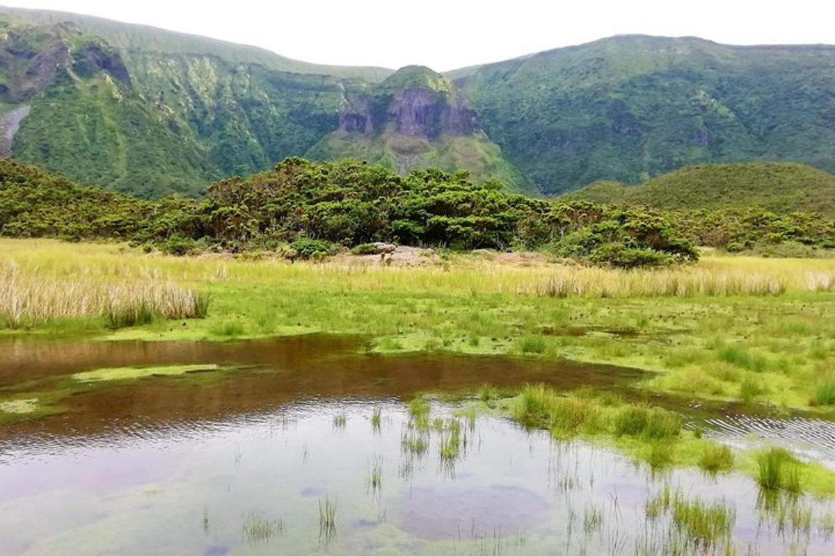 Ljósmynd af afþreyingu 5