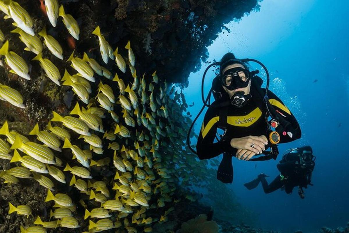 potapljač v oceanu poleg stene rib