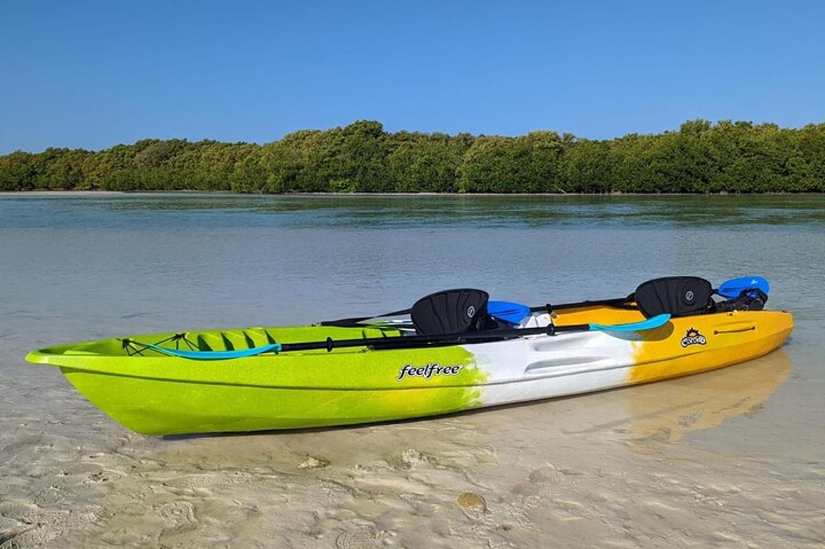 rumeno-bel čoln, ki stoji na plaži