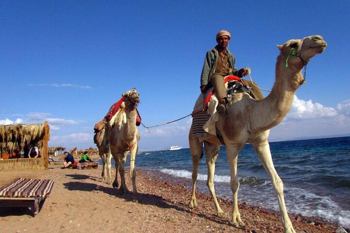 two people riding on camels on the beach