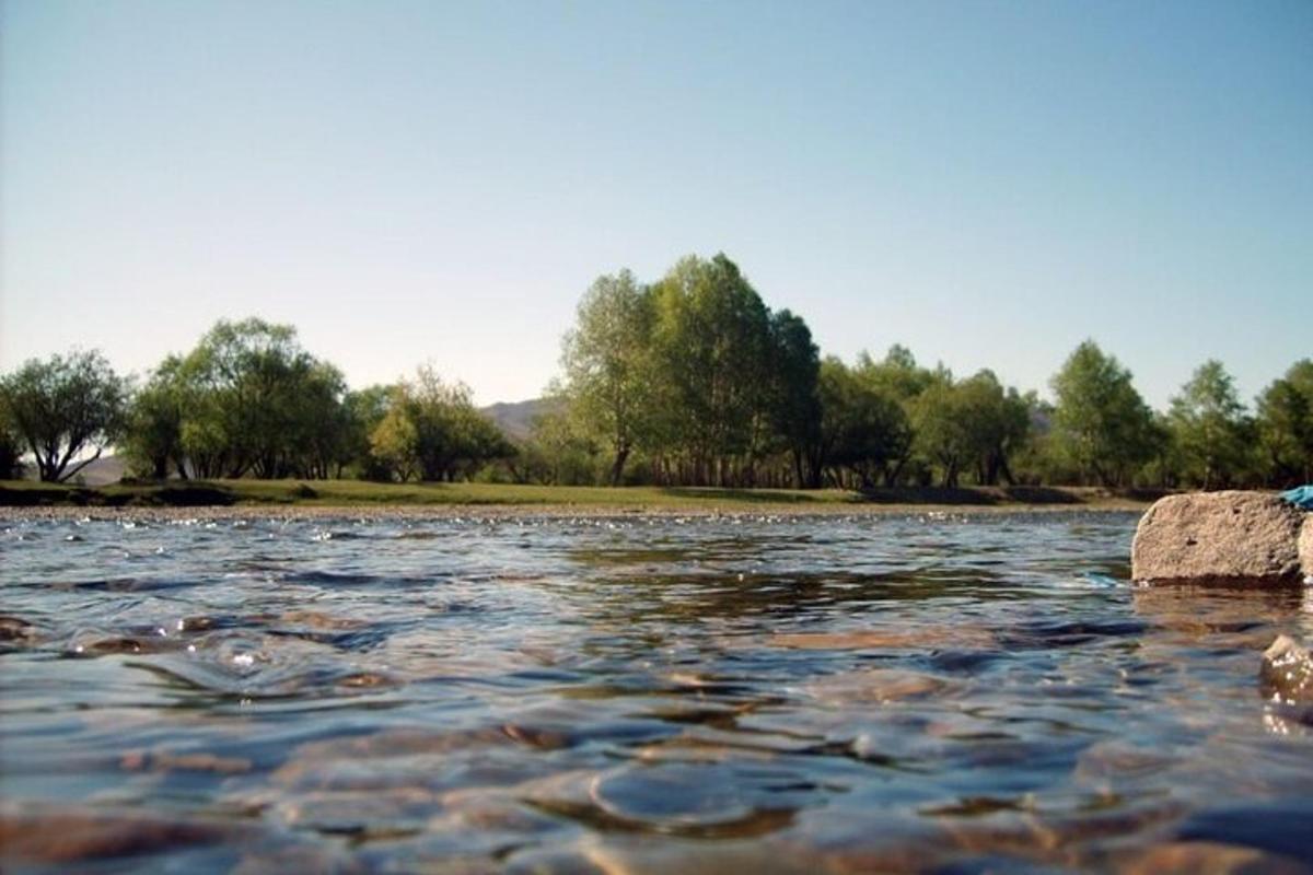 a river with rocks and trees in the background